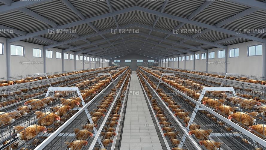 养鸡用地建厂房合法吗吗