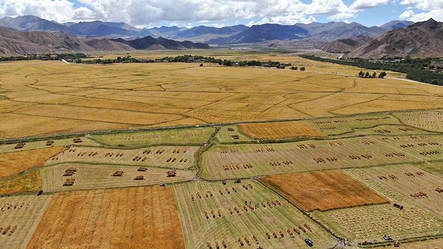 西藏建成高标准农田422万亩