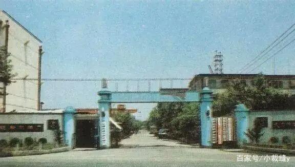 1959年在上海建厂房的相关图片